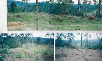 Imagem 3: AREA RESIDENCIAL em EMBU DAS ARTES - SP, INVERNADA