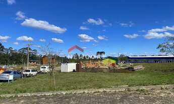 Imagem 7: Lote em Avenida Benjamin Constante - Santa Isabel - São Francisco de Paula/RS