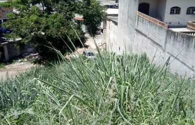 Imagem 6: AREA - CANGAÍBA - SP