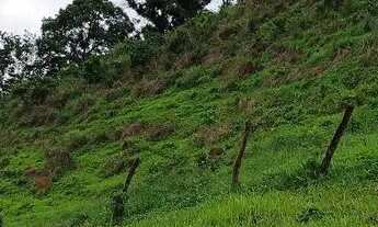 Imagem 4: Chácara em Bela vista