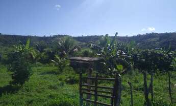 Imagem 5: Terreno na fazenda curimã em Itaporanga