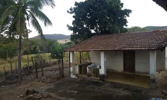 Imagem 3: Fazenda Samambaia Aurilandia Goias (Remo-Recanto Monte das Oliveiras Park Hotel