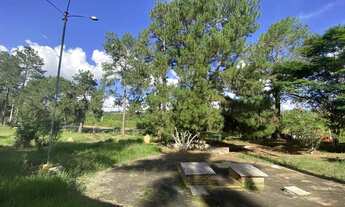 Imagem 6: Terreno à Venda com 97.585,16 m² na Colônia Rodrigo Silva