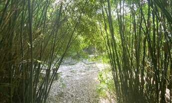 Imagem 7: Terreno à Venda com 97.585,16 m² na Colônia Rodrigo Silva