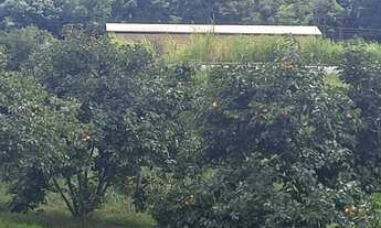 Imagem 4: Terreno de 6.000m² à Venda na BR-040 – Ideal para Investimentos