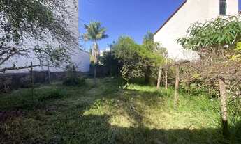 Imagem 7: Oportunidade para Investidores – Terreno com Excelente Potencial no Bairro Monsenhor Mário