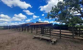 Imagem 3: Fazenda à venda em Ibertioga, ZONA RURAL, 148ha