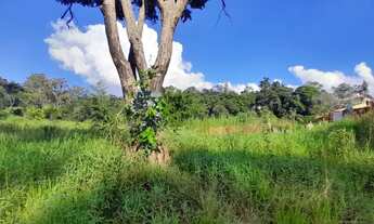Imagem 4: Lote à venda em Barbacena, Colônia Rodrigo Silva, 2500m²