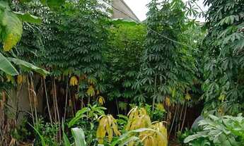 Imagem 5: Lote à venda em Barroso, Nova Barroso, 292,90m²