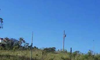 Imagem 6: Lotes à Venda na Colônia Rodrigo Silva