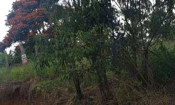 Imagem 7: Lote à venda – 5.334,41 m² – Colônia Rodrigo Silva