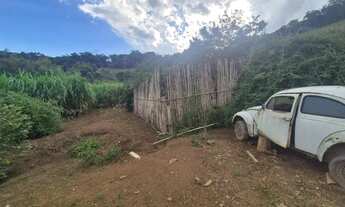 Imagem 4: Sítio Encantador com Pomar, Solo Fértil e Construção Rústica em Antônio Carlo