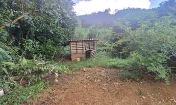 Imagem 6: Sítio Encantador com Pomar, Solo Fértil e Construção Rústica em Antônio Carlo