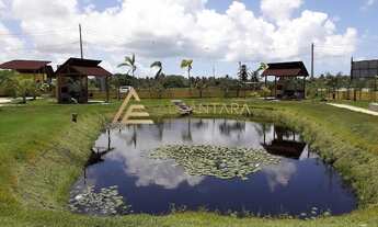 Imagem 6: VALOR A BAIXO DA TABELA!!! LOTE NO CONDOMÍNIO FECHADO EM PIAÇABUÇU!
