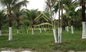 Imagem: SÍTIO DOS SONHOS EM ITABORAÍ - PRÓXIMO