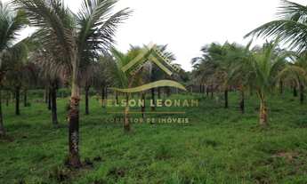 Imagem 4: Área à venda em Itaboraí, Granjas Mirassol (Pachecos), 10150m²