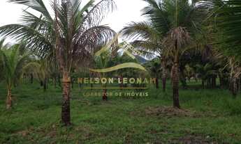 Imagem 5: Área à venda em Itaboraí, Granjas Mirassol (Pachecos), 10150m²