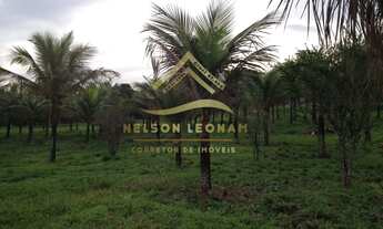 Imagem 2: Sítio em Itaboraí próximo a Serra do Lagarto