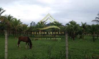 Imagem 5: Sítio em Itaboraí próximo a Serra do Lagarto