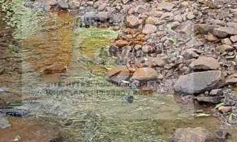 Imagem 7: Vende-se imóvel rural em Coronel Vivida-PR