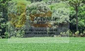 Imagem 1: Vende-se imóvel rural em Coronel Vivida-PR