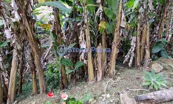 Imagem 2: Chácara à venda em Nova Friburgo, São Pedro da Serra, com 3 quartos, 50000m²