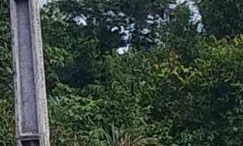 Imagem 4: Lotes à venda na Chácaras de Janauary 3 com 3.210,86m²