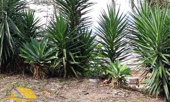 Imagem 7: PROMOÇÃO!!! Vendo Terreno com 471 mts² no Vale das Palmas em Conselheiro