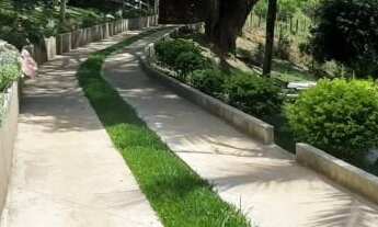 Imagem 6: Vendo Sítio em Sapucaia com 190 Mil Mts²