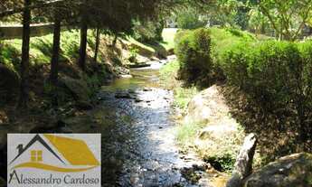 Imagem 4: VENDO SÍTIO COM 94MIL mts² EM RIOGRANDINA