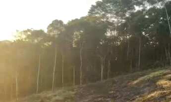 Imagem 4: Terreno à venda em Nova Friburgo, ALTO DO SCHUENCK, 360m²