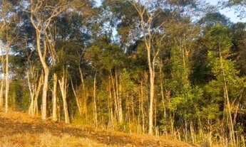 Imagem 3: Terreno à venda em Nova Friburgo, ALTO DO SCHUENCK, 360m²