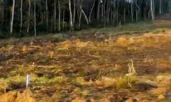 Imagem: Terreno à venda em Nova Friburgo, ALTO