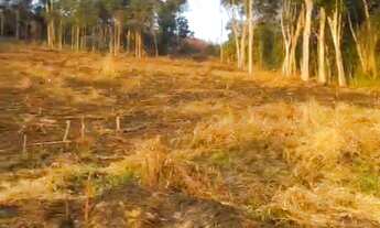 Imagem 7: Terreno à venda em Nova Friburgo, ALTO DO SCHUENCK, 360m²