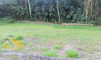 Imagem 4: Vendo terreno com 360 mts², totalmente plano em Amparo