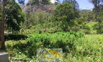 Imagem 3: Vendo Terreno em Área Rural com 900 mts²