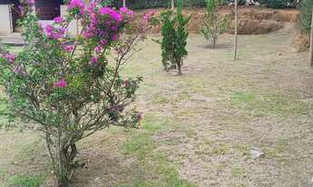 Imagem 3: VENDO MINI CHÁCARA NO ALTO DO SCHUENCK COM 1000 MTS²