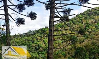 Imagem 4: Vendo área rural com 20 mil mts², boa topografia com nascente