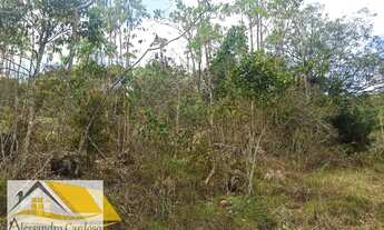 Imagem 6: Vendo área rural com 20 mil mts², boa topografia com nascente