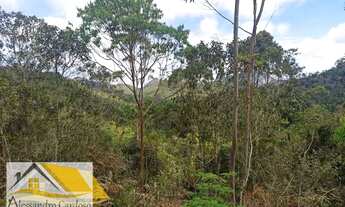 Imagem 7: Vendo área rural com 20 mil mts², boa topografia com nascente