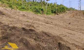 Imagem 2: Vendo Àrea Rural a partir de 10 mil mts², Boa Topografia, Com RGI