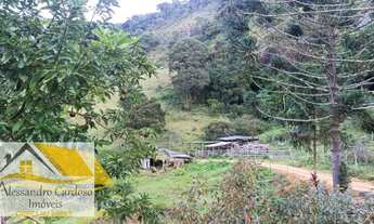 Imagem 4: Vendo chácara com 140 mil mts² em Riograndina