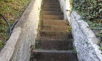 Imagem 4: Vendo Chácara em Theodoro com 3 quartos, 1 suíte e 5 mil mts² de terreno