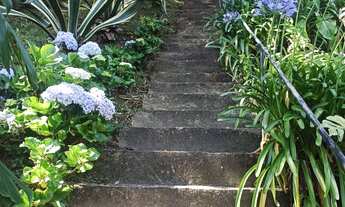 Imagem 5: Vendo Chácara em Theodoro com 3 quartos, 1 suíte e 5 mil mts² de terreno