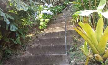 Imagem 6: Vendo Chácara em Theodoro com 3 quartos, 1 suíte e 5 mil mts² de terreno