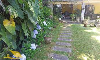 Imagem 2: Vendo Chácara em Theodoro com 3 quartos, 1 suíte e 5 mil mts² de terreno