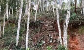 Imagem 7: Vendo terreno no condomínio Remanso no Perissê com 1073 mts²