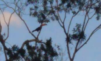 Imagem 5: Vendo terreno no condomínio Remanso no Perissê com 1073 mts²