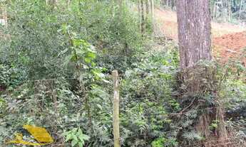 Imagem 2: Vendo Terreno na Fazendo Bela Vista com 800 mts²