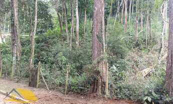 Imagem 5: Vendo Terreno na Fazendo Bela Vista com 800 mts²